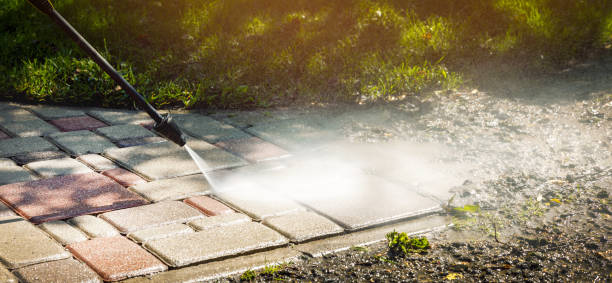 Best Solar Panel Cleaning  in Buckhorn, CA